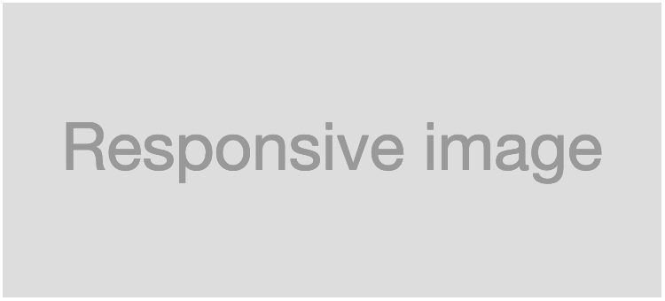 fit concept on a Image component in Boosted.
